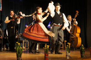 Galéria kép