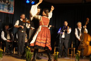 Galéria kép