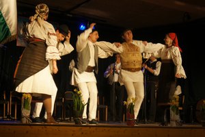 Galéria kép