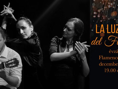 La Luz del flamenco.jpg