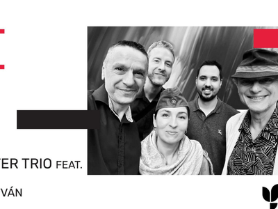 Untitled design (39).png